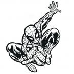 Spider Man